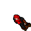 Blackorvus